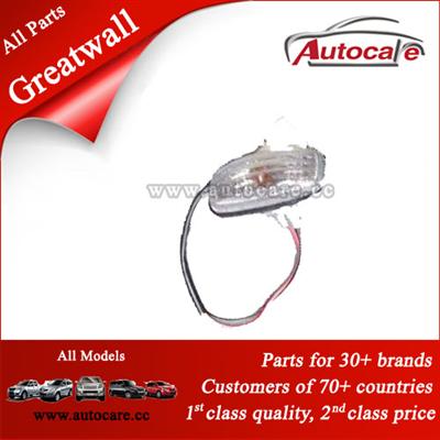 Original Side Turn Signal Lamp Assy 4117010-D01-A1 Greatwal-D22 For Greatwall