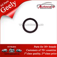 Hot Sale Geely Parts Front Crankshaft Oil Seal(3G10) 1036050041