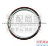 Cummins 6BTCrankshaft Rear Oil Seal 3925529