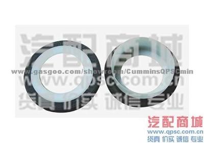 Cummins6CTCrankshaft Front Oil Seal 3921927/3968562