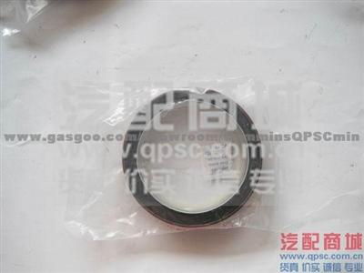 CumminsNT855 Crankshaft Front Oil Seal 3020188