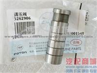 CumminsISF2.8 Valve Check 5262906