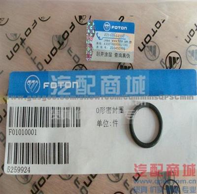 CumminsISF2.8 Seal, O Ring 5259924