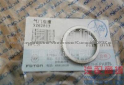 CumminsISF2.8 Insert, Valve 5262813