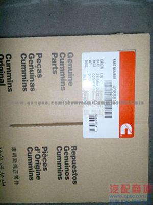 Cummins NT855 Kit, Piston Ring4089811