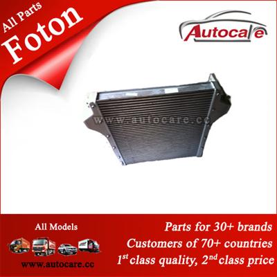 Hot Sale Foton Truck Parts Inter-Cooler Assy 1325111980045