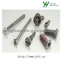 Special Stainless Steel Screw