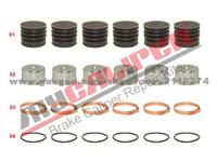 Brake Caliper Repair Kits