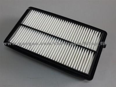 Air Filter 17220-5G0-A00