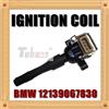 BMW Ignition Coil Pack 12139067830