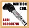 Audi Ignition Coil Pack 036905715