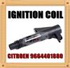 Citroen Ignition Coil Pack 9664401880