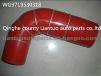 Sinotruck Howo Intercooler Hose Pipe WG9719530318