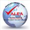 Valea Auto Parts