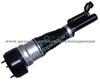 Shock Absorber 2213204913