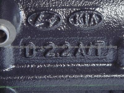 Hyundai Santa Fe II 2.2 CRDI VGT D4EB