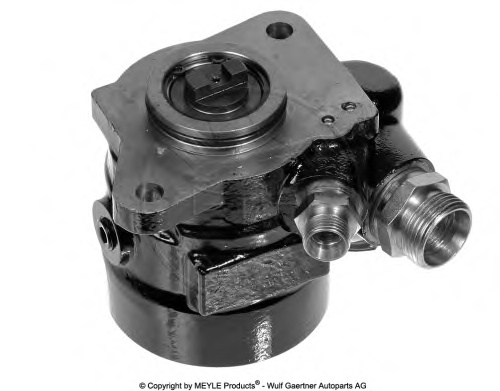 Hydraulic Pump