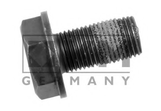 Flywheel Bolt