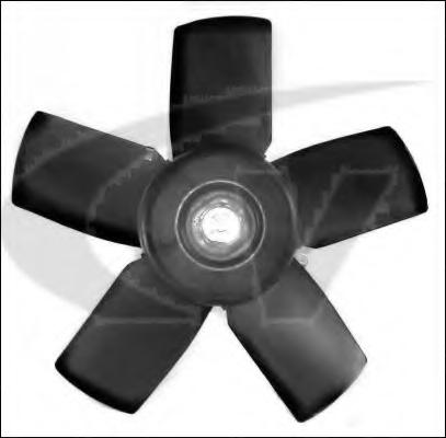 Electric Motor