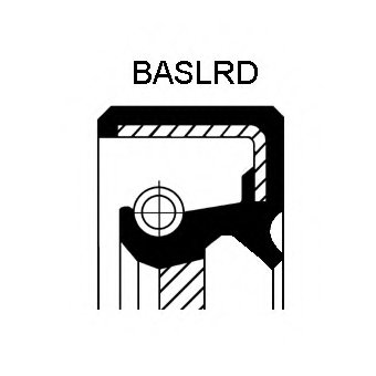 Shaft Seal