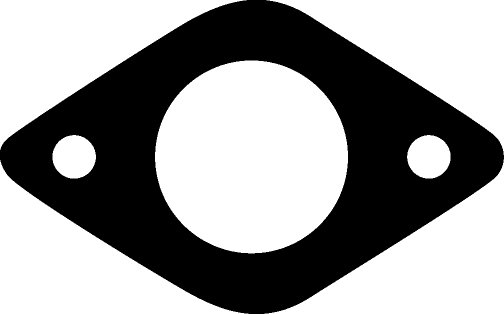Exhaust Manifold Gasket