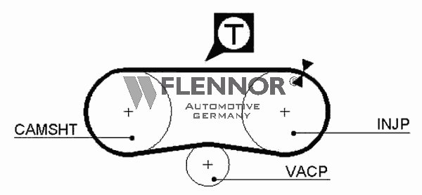 Timing Belt