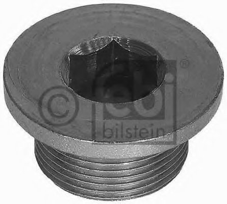 Oil Drain Plug