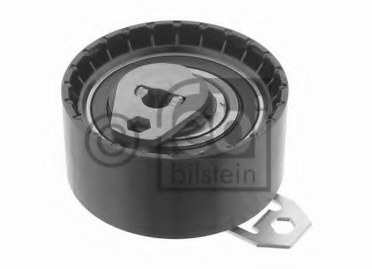 Tensioner Pulley