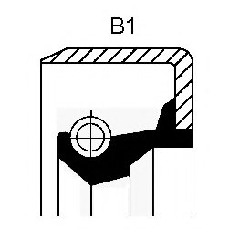 Shaft Seal