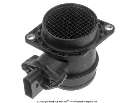 Air Mass Sensor