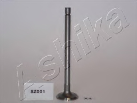 Exhaust Valve