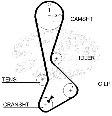 Timing Belt