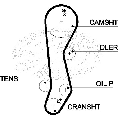 Timing Belt