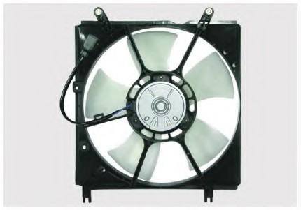 Fan