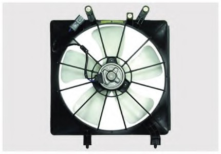 Fan