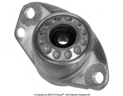 Suspension Strut Support Bearing