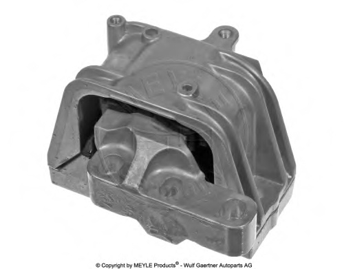 Engine Mounting