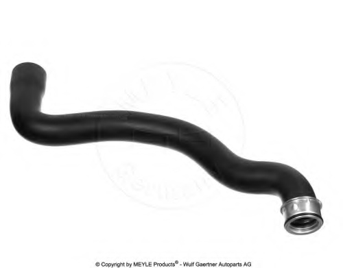 Radiator Hose