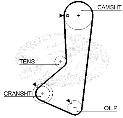 Timing Belt