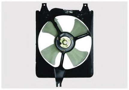 Fan