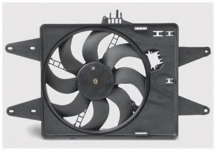 Fan