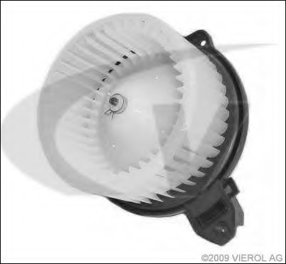 Fan