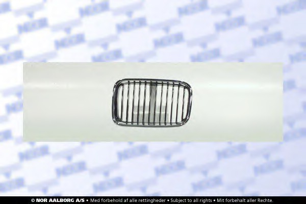 Radiator Grille