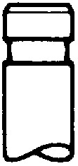 Inlet Valve