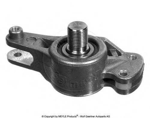 Tensioner Lever