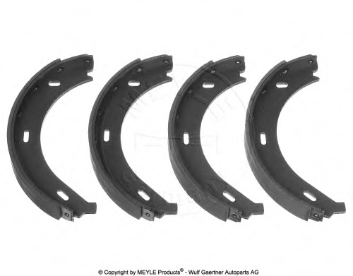 Brake Shoe