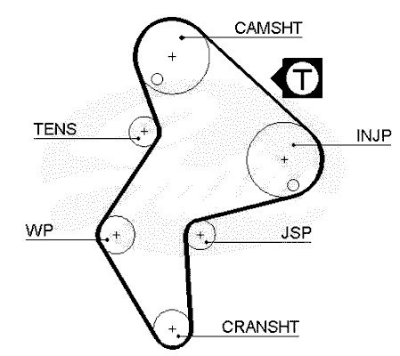 Timing Belt