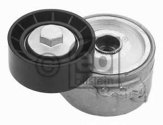 Tensioner Pulley