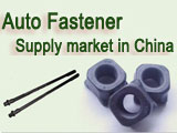 Auto Fastener Supplier in China