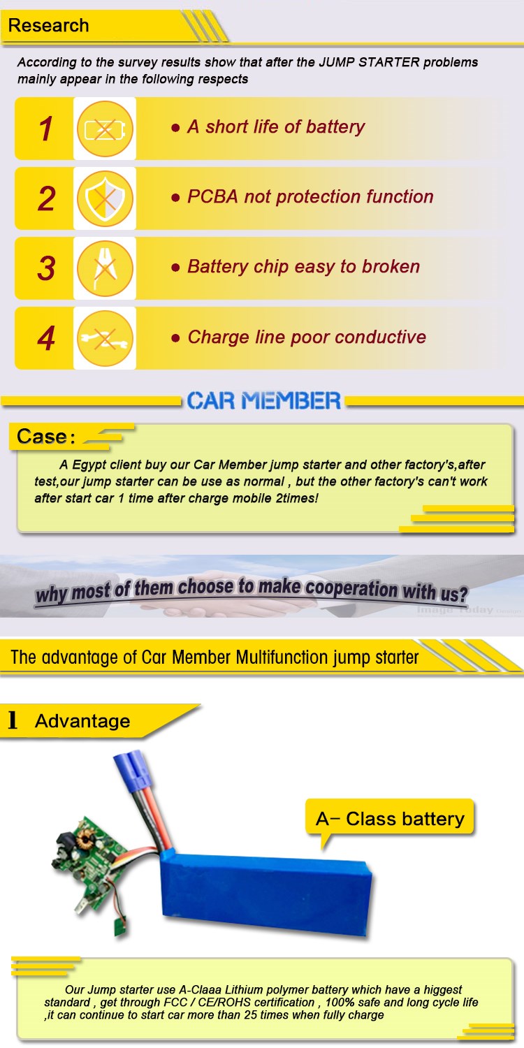 12V lithium car battery cahrger